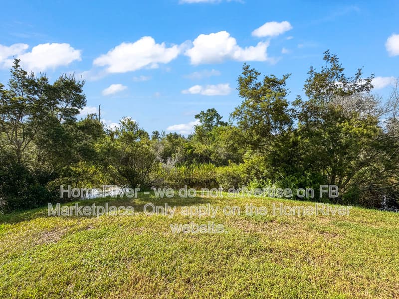 Wesley Chapel Townhome: 4208 Fennwood Ct