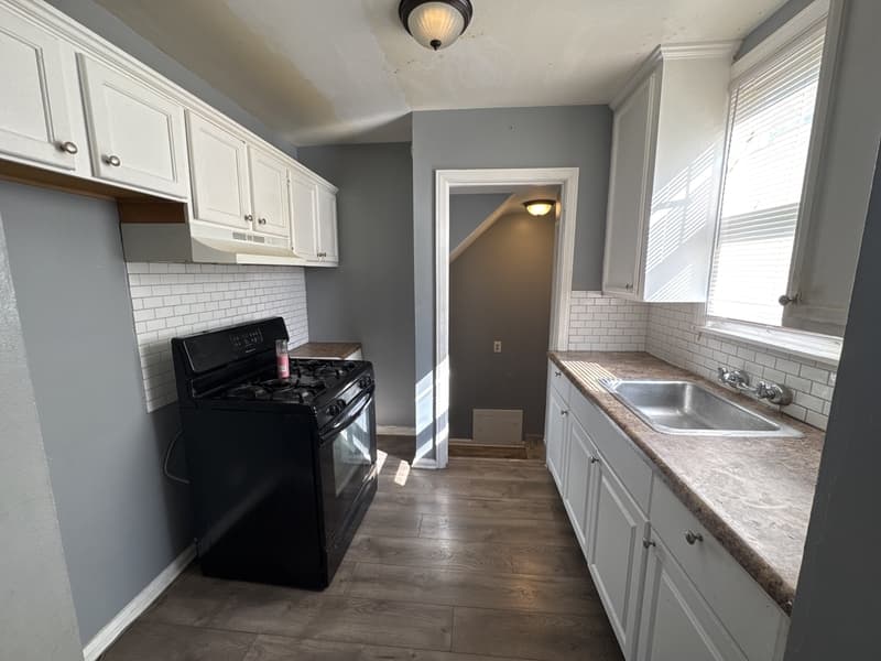 Detroit House: 20242 Hickory Street