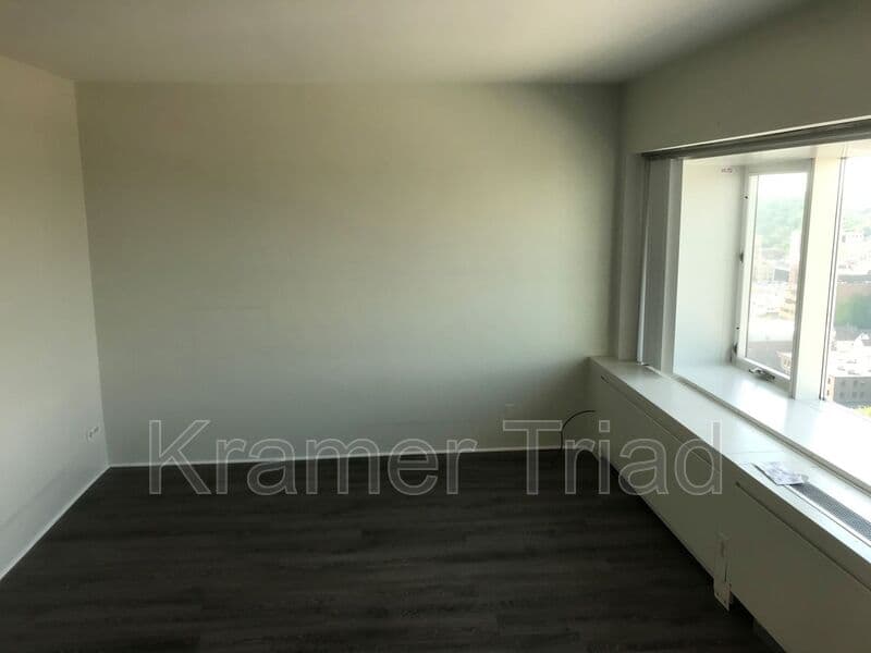 Ann Arbor Condo: 555 E William
