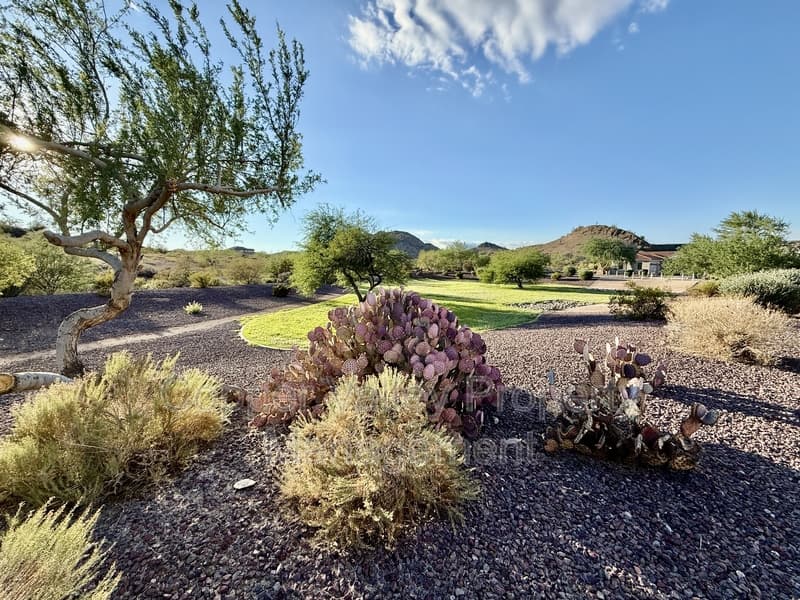 Peoria House: 7957 West Quail Track Drive