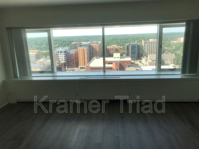 Ann Arbor Condo: 555 E William
