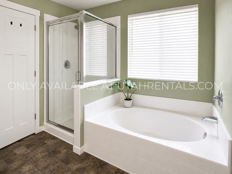 Saratoga Springs House: 267 W Willow Creek Dr