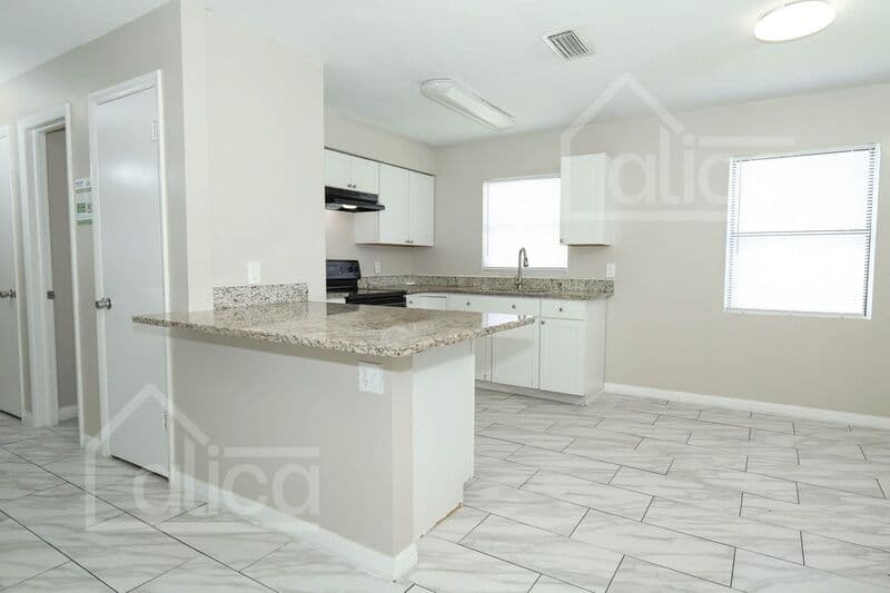 Orlando House: 1010 Vigo Ave