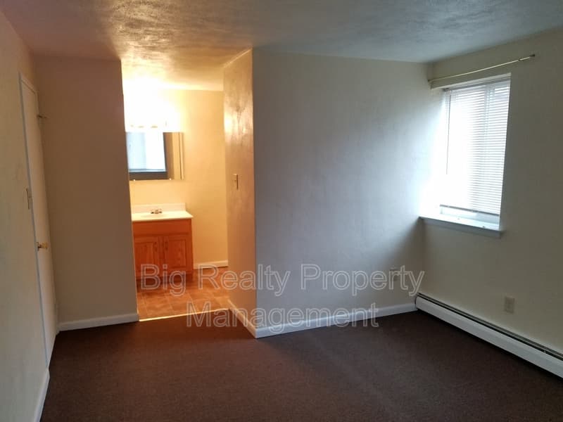 Spring City Condo: 120 N Penn St