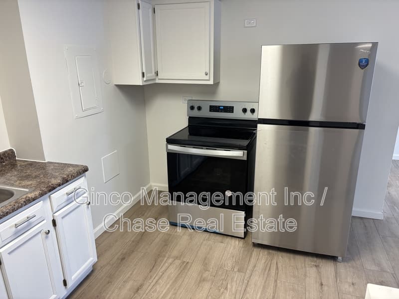 Dixon Condo: 1231 North Galena Avenue - 210