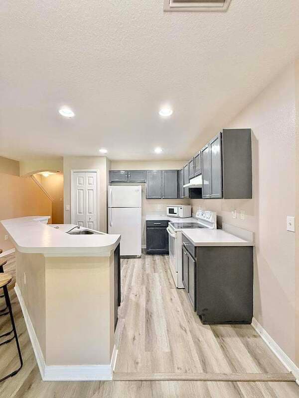 Brandon Townhome: 2516 Oleander Lakes Drive