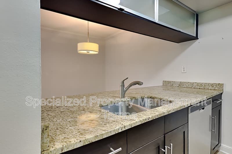 Tampa Condo: 3102 W Horatio St