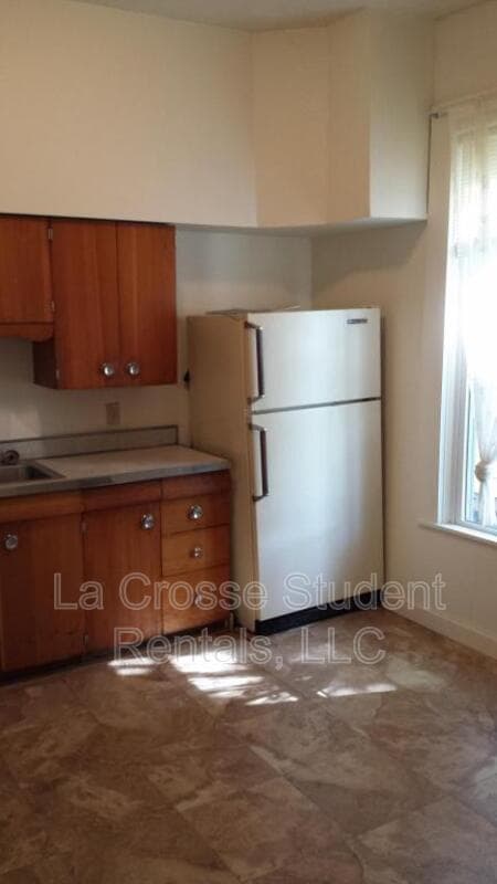 La Crosse Condo: 904 Vine Street
