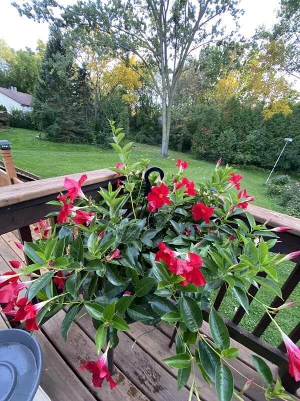Green Bay Condo: 3296 Peterson Road