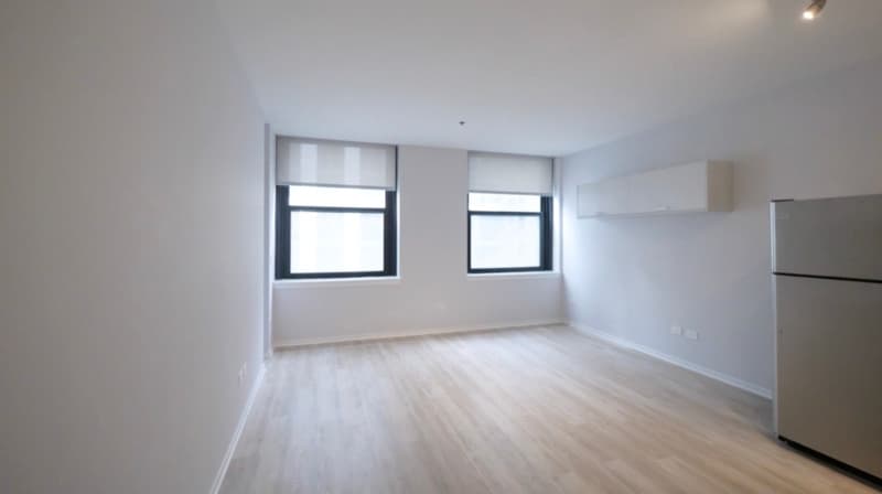 Chicago Condo: 176 N Wells St