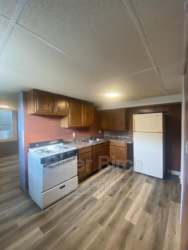 Springfield Condo: 417 East Cook Street - E