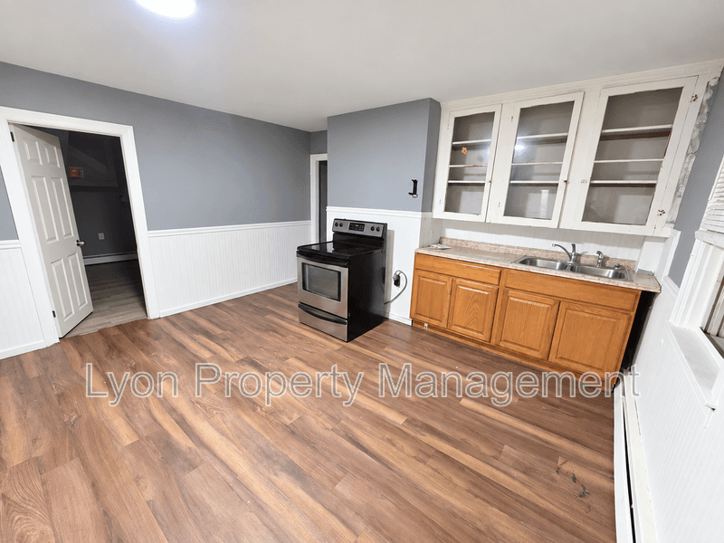Providence Condo: 55 kossuth st