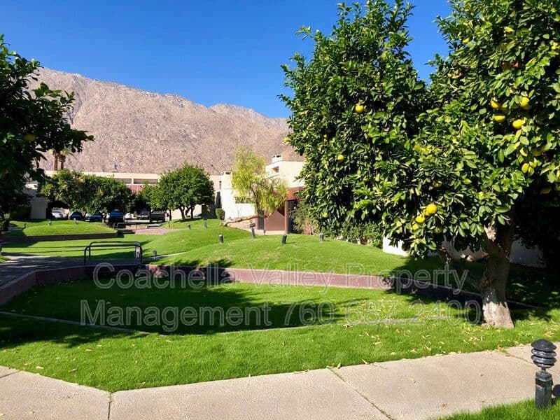 Palm Springs House: 999 Village Square South