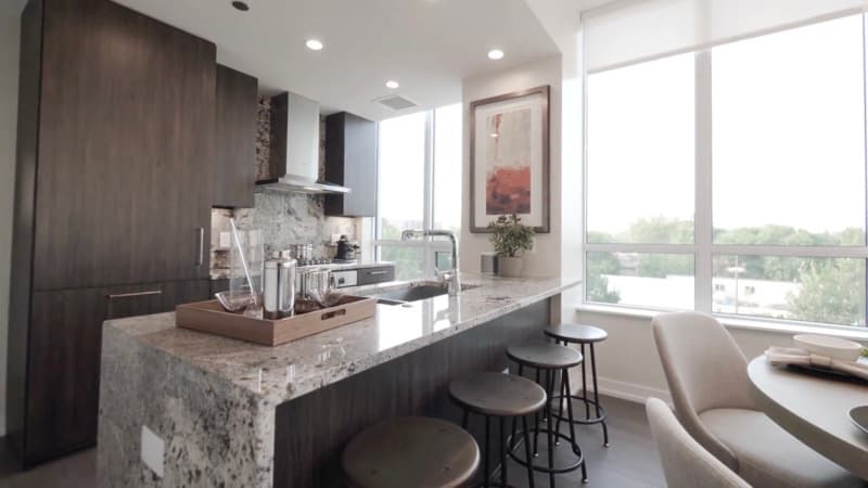 Chicago Condo: 740 N Hudson Ave