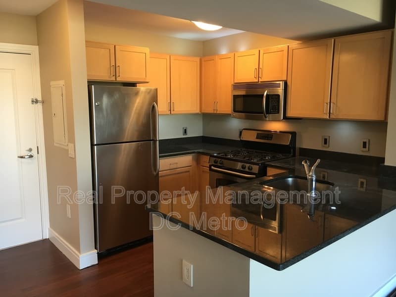 Washington Condo: 800 4th St SW