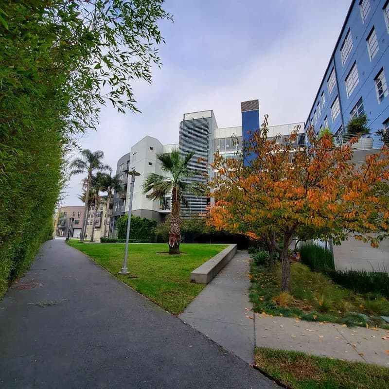 san francisco Condo: 888 7th St