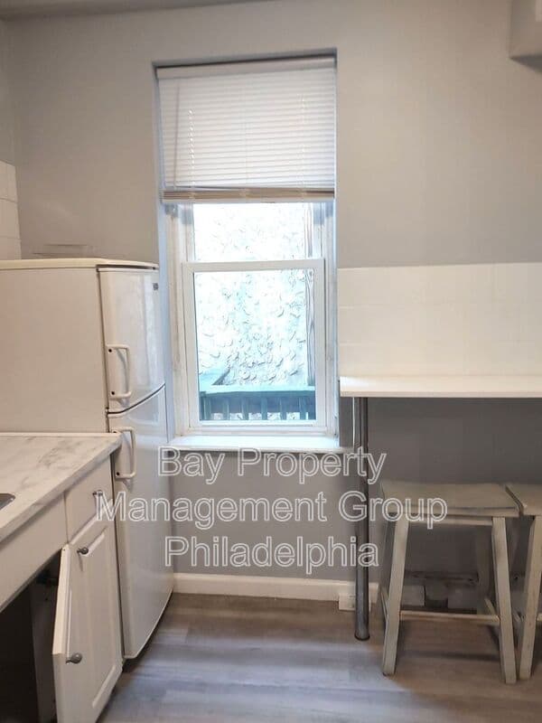 Philadelphia Condo: 1003 S 13th St