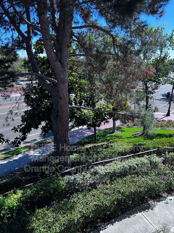 Rancho Santa Margarita House: 55 Montana Del Lago Dr