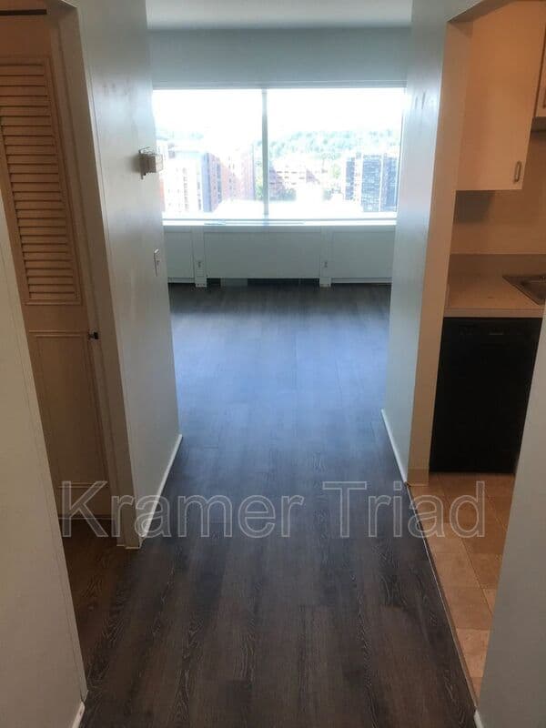 Ann Arbor Condo: 555 E William