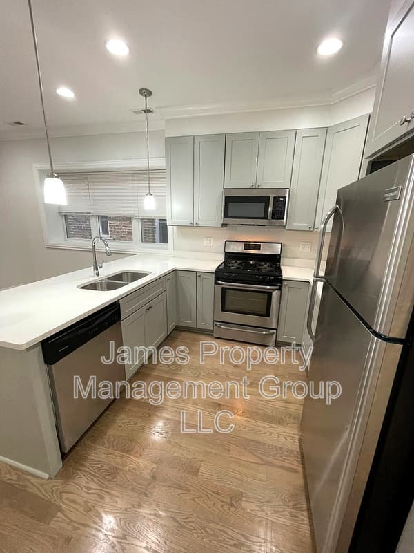 Chicago Condo: 4819 N. Kenneth Unit # 1