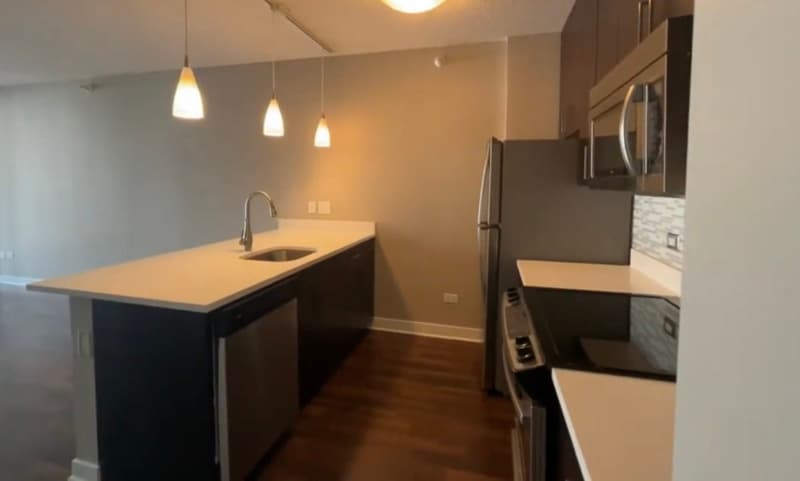 Chicago Condo: 739 N Wabash Ave