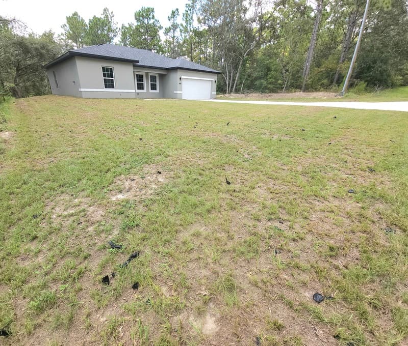 Citrus Springs House: 1604 W Delores Dr