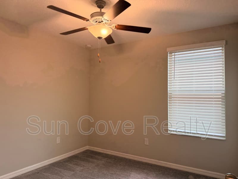 Tampa House: 4114 Romano Busciglio St