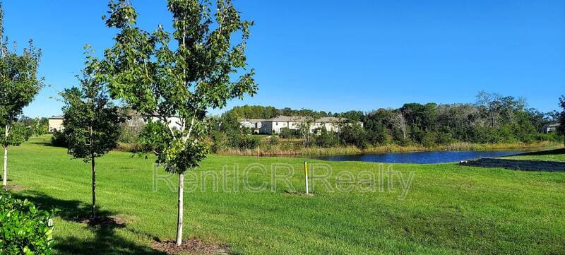 Land O' Lakes Townhome: 17771 Cotton Nest Court