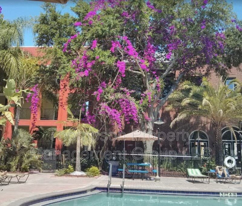 Tampa Condo: 1810 E Palm Ave