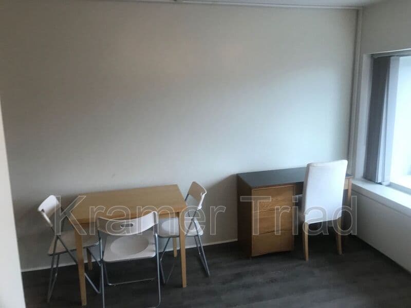 Ann Arbor Condo: 555 E William