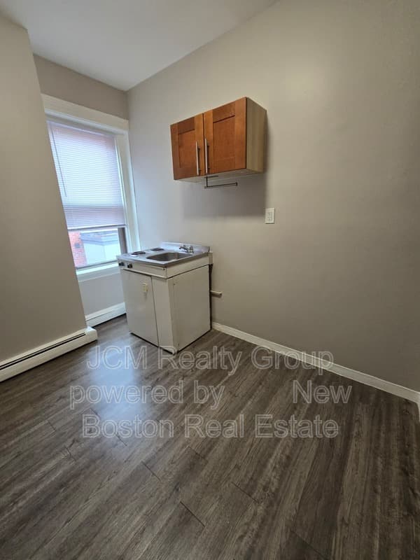Jamaica Plain Condo: 191 Green St