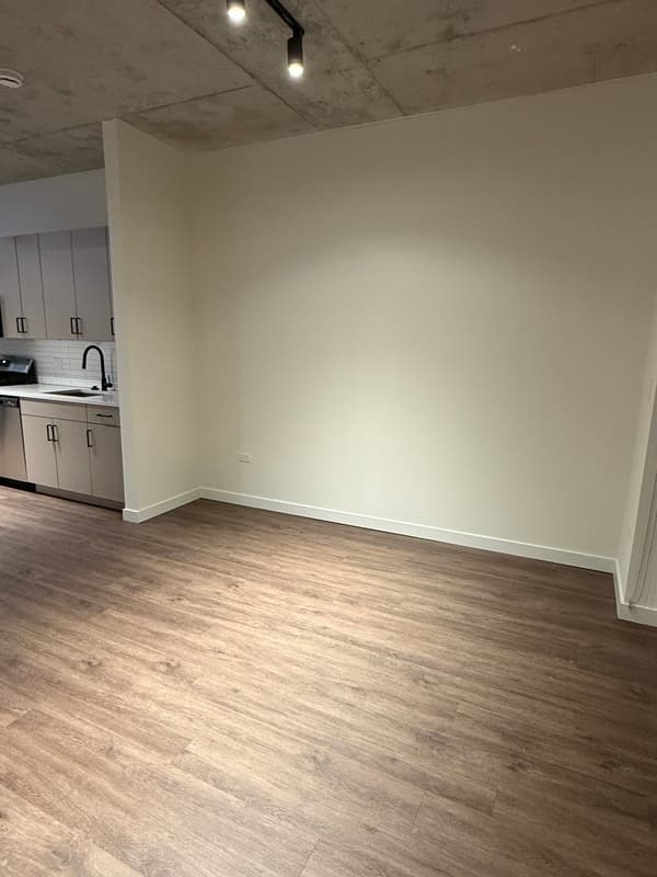 Chicago Condo: 760 N Hudson Ave