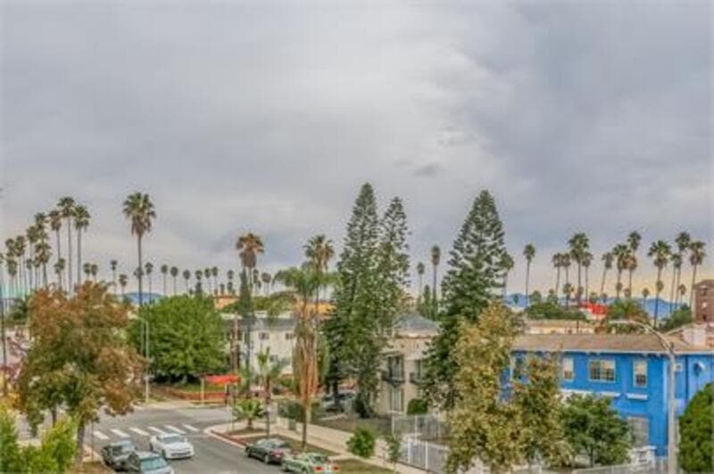 Los Angeles Condo: 123 South Catalina Street - 216