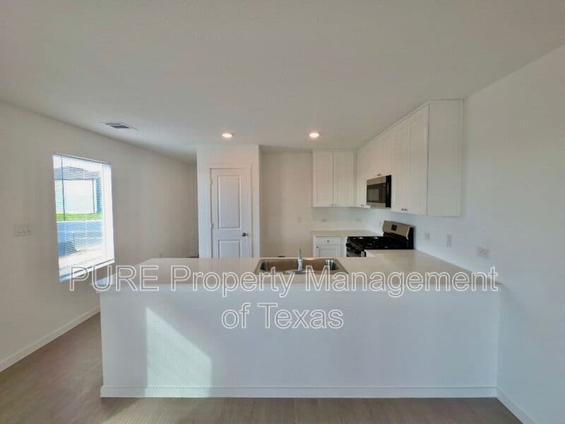 Hutto House: 233 Streaking Star Drive