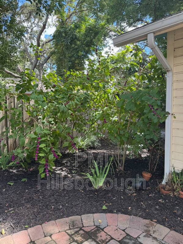 Tampa House: 1403 E Paris St