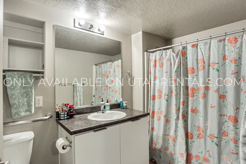 Provo House: 843 E 620 N