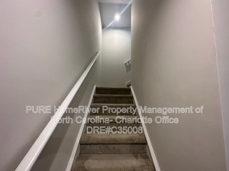 Charlotte House: 2019 Langer St
