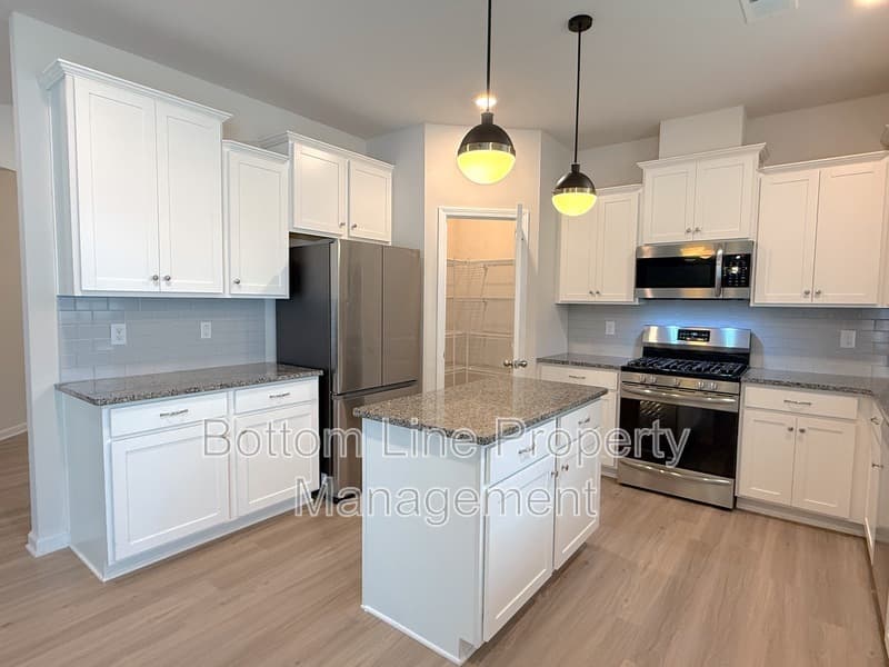 Fort Mill House: 729 Willshire Falls Dr