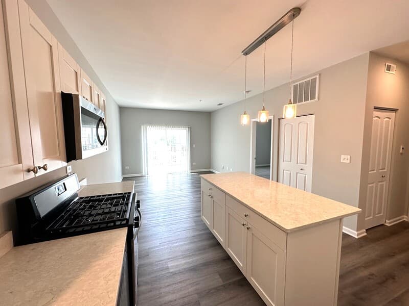 Woodstock Condo: 301 N Madison St