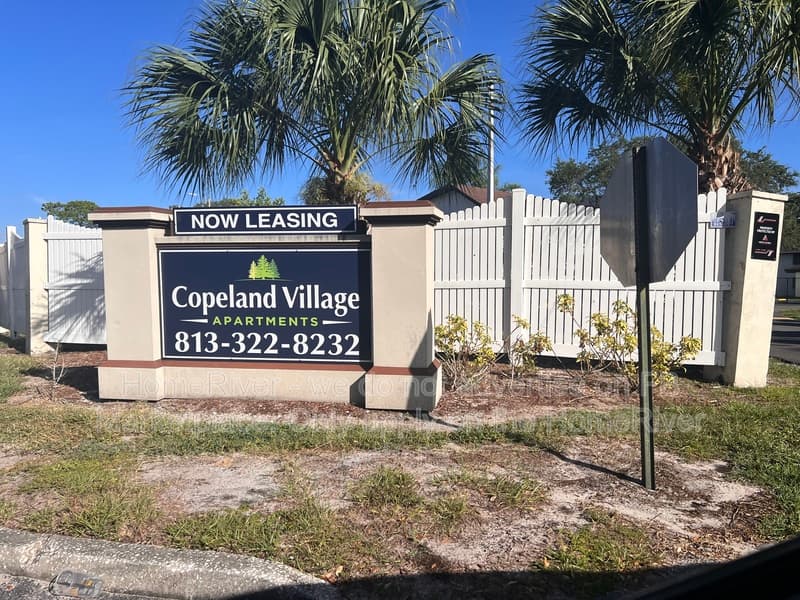 Tampa Condo: 1256 E 113th Ave