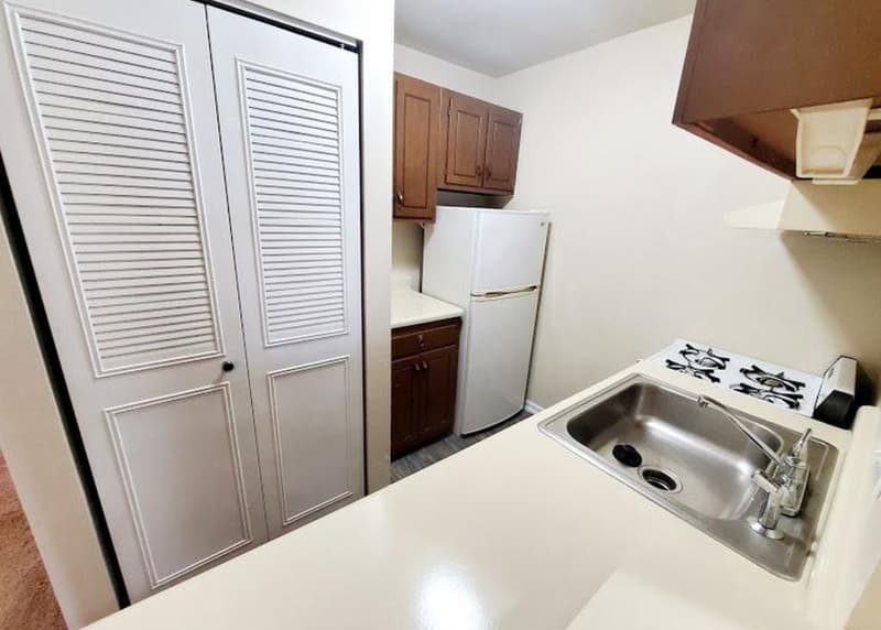 Richmond Condo: 300 S Arther Ashe Blvd