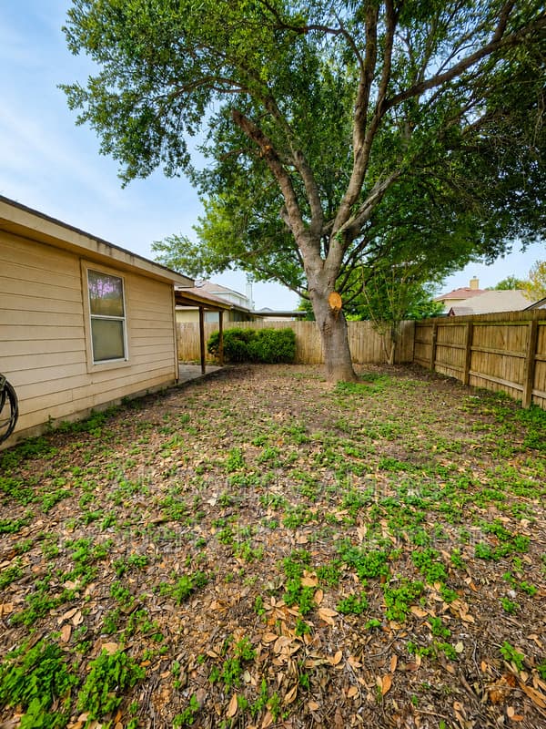 Selma House: 9006 Pinseeker