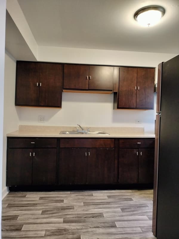 Chicago Condo: 7910 South Muskegon Avenue - 1