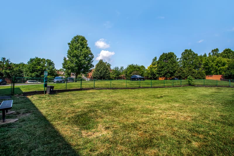 St. Louis Condo: 4301 Olive St