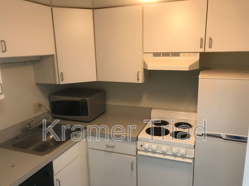 Ann Arbor Condo: 555 E William