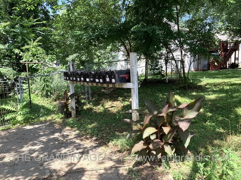 Roanoke House: 1624 Chapman Avenue Southwest