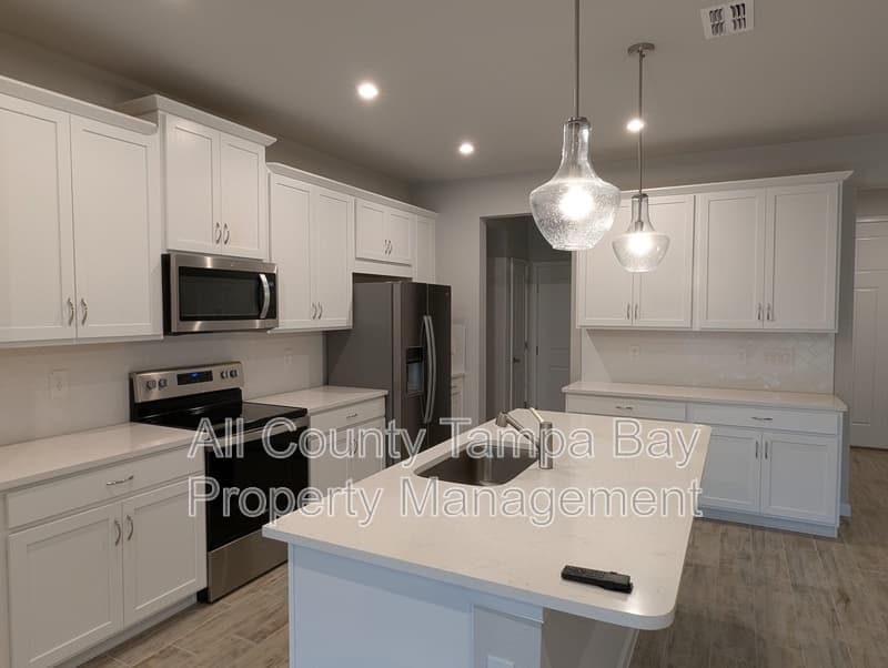 Lutz Townhome: 26122 Fantasy Sky Lane