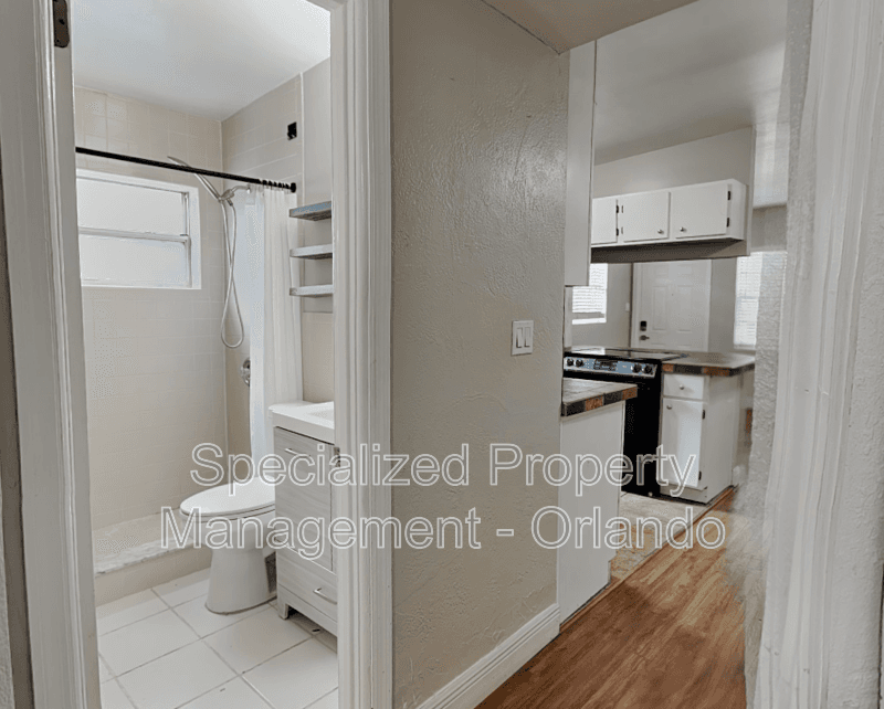 Orlando Condo: 313 S Lawsona Blvd