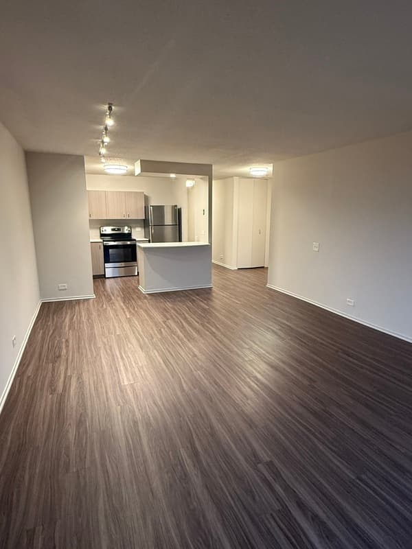 Chicago Condo: 1154 n dearborn st