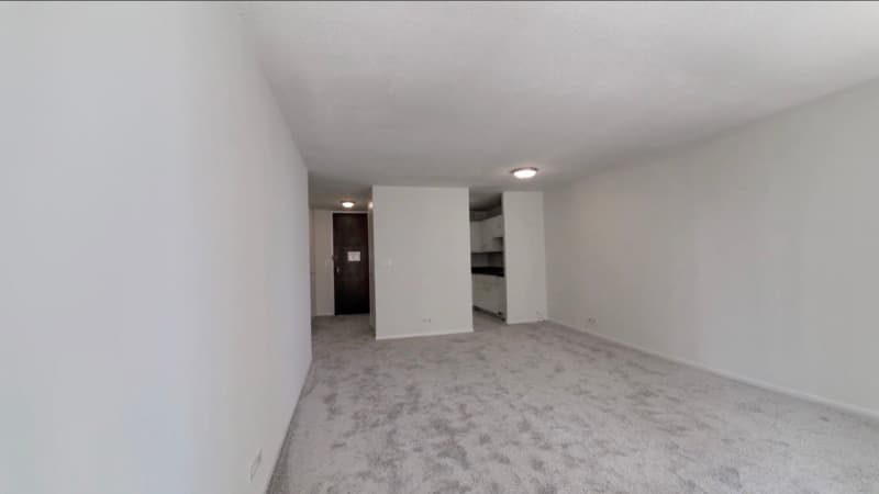 Chicago Condo: 60 E Scott st